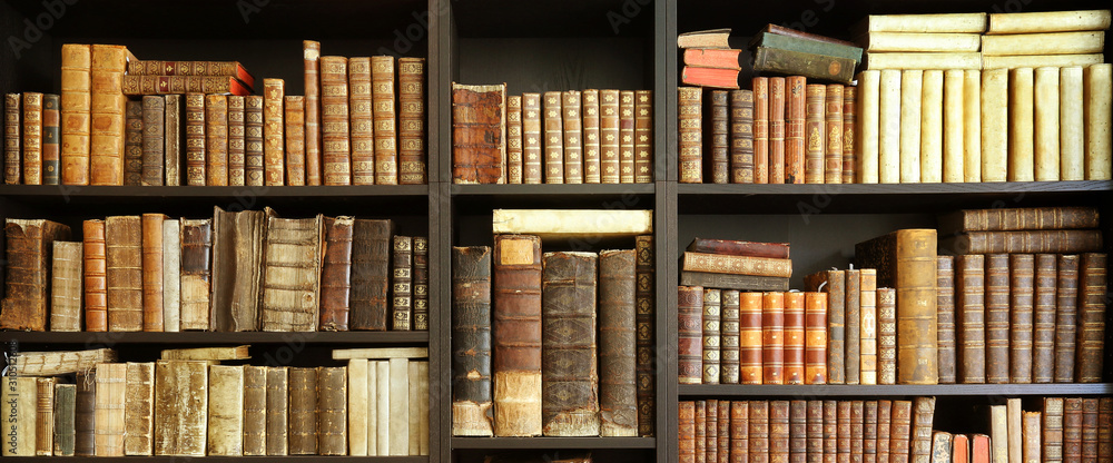 adobestock 310512608 preview